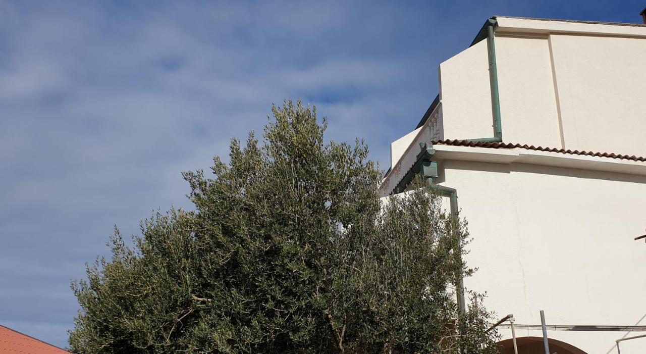 Bellavista Bed And Breakfast Паг Екстериор снимка